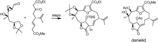 Synthetic studies towards oxygenated and unsaturated furanocembranoid macrocycles. Precursors to plumarellide, rameswaralide and mandapamates